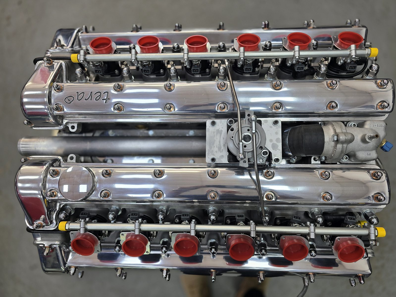tera® V12 intake trumpets and polished manifold detail